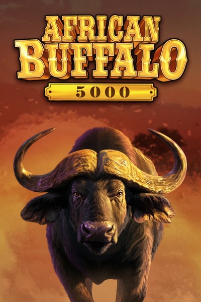 Machine African Buffalo 5000 sur Betrepublic Casino